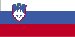 slovenian Virginia - Stáit Ainm (Brainse) (leathanach 1)